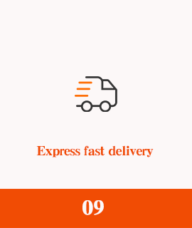 Entrega rápida express