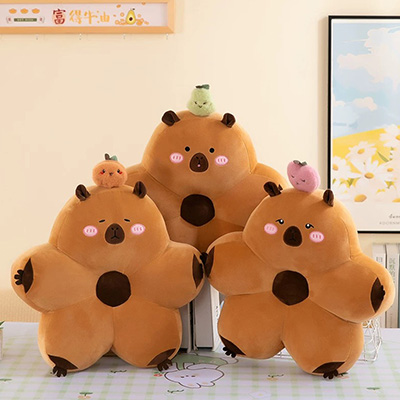 Cojines de peluche